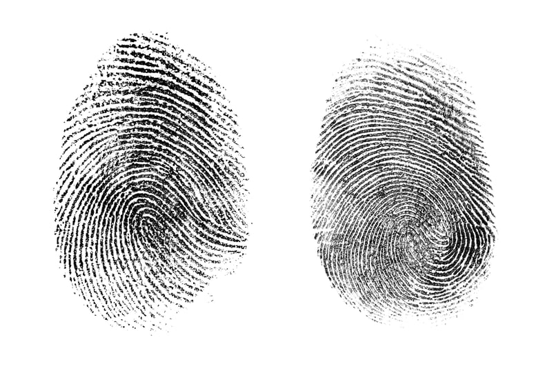 What Is Biometric Identification